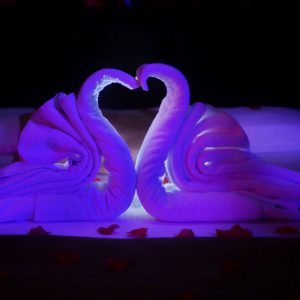 Apartmani Beograd Apartman sa djakuzijem Istambul Apartmani Beograd Apartman sa djakuzijem Istambul